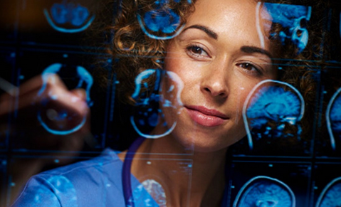 What to Expect from a Neuroscience Degre...