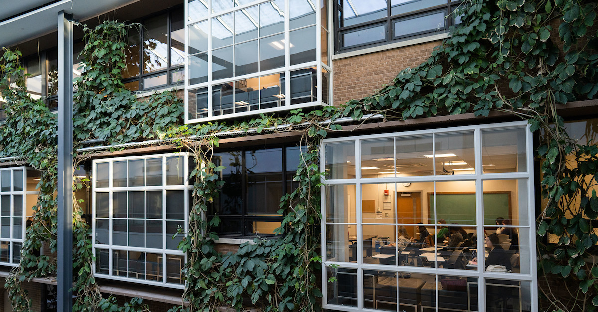 Vines on a brick wall and on windows in Centro