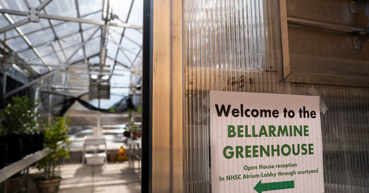 Bellarmine's Greenhouse