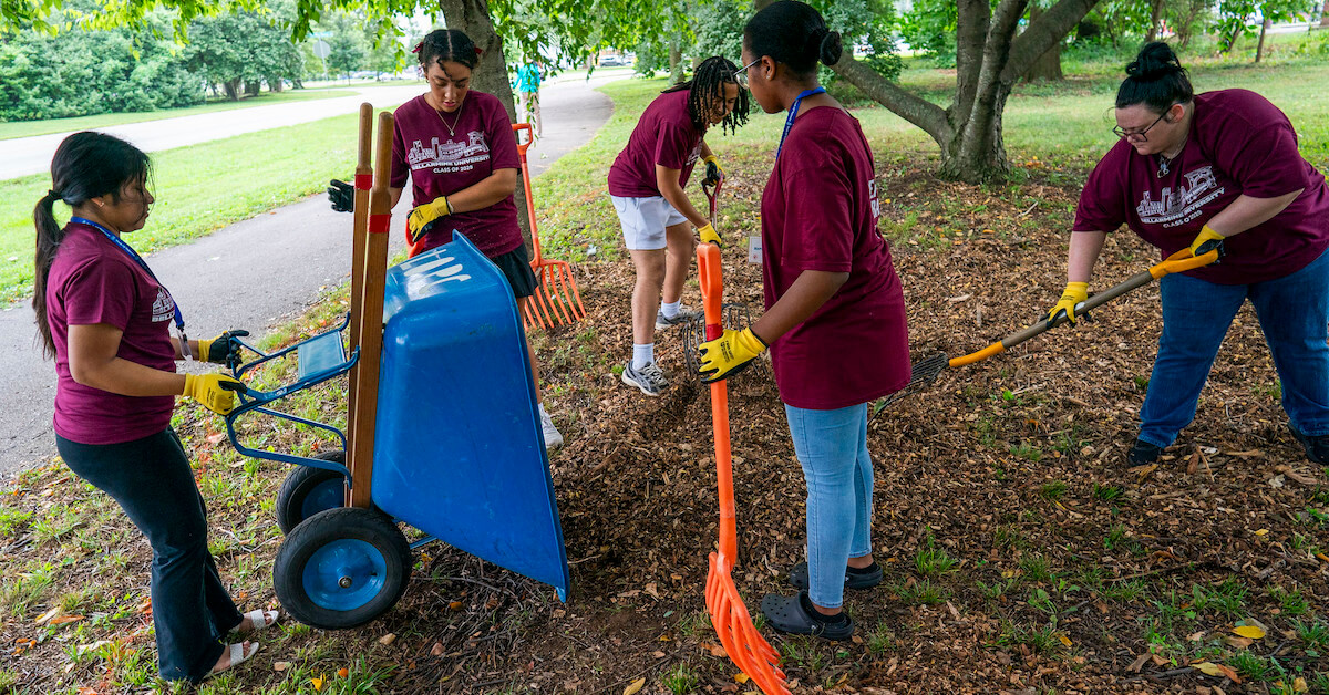 students working at a park