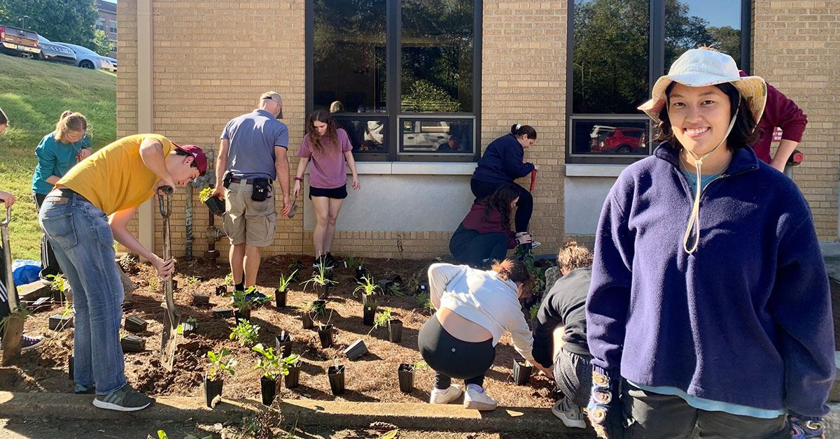 People working in a garden