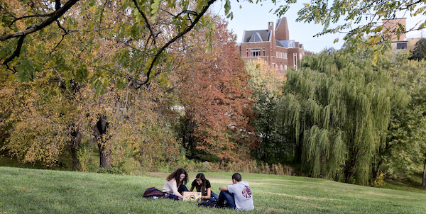 /_migrated-binaries/sf-images/default-source/news/students-grass-library.jpg?sfvrsn=261f9781_2