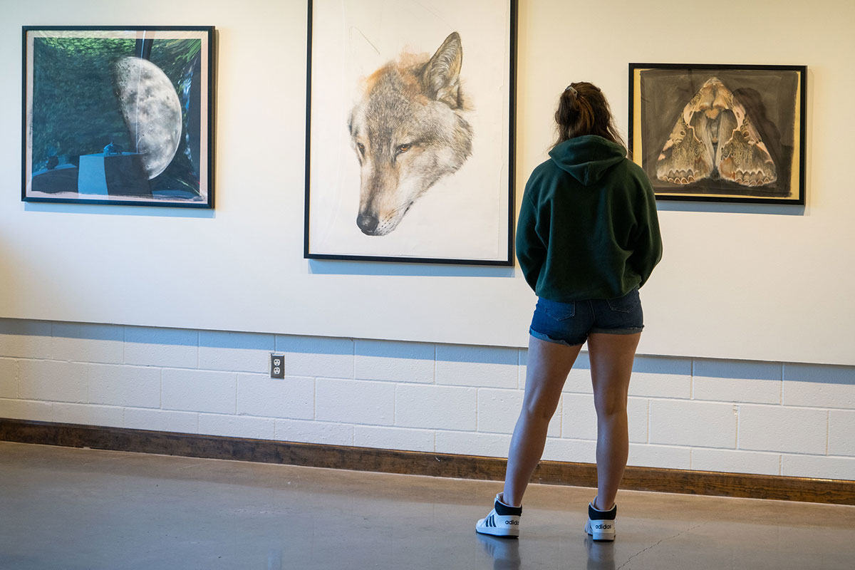 A person viewing works of art in a gallery.