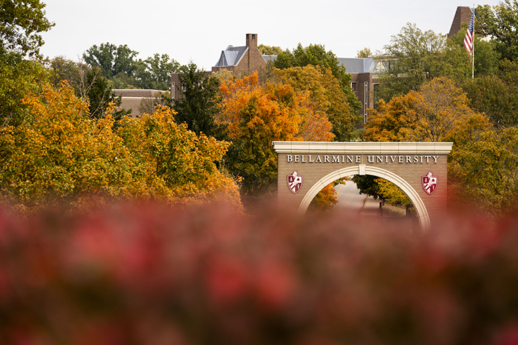 Trees in fall on campus