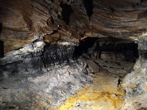 Barthell Coal Camp seam viewed by Environmental Studies students