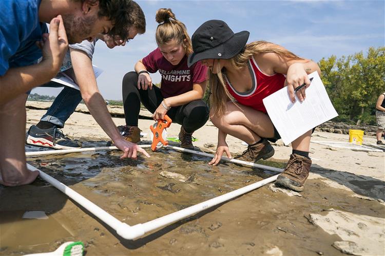 Students in Bellarmine's Environmental Studies program examine fossil beds at the Falls of the Ohio State Park in Clarksville, Indiana.