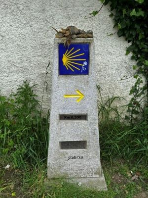 Camino Photo 3