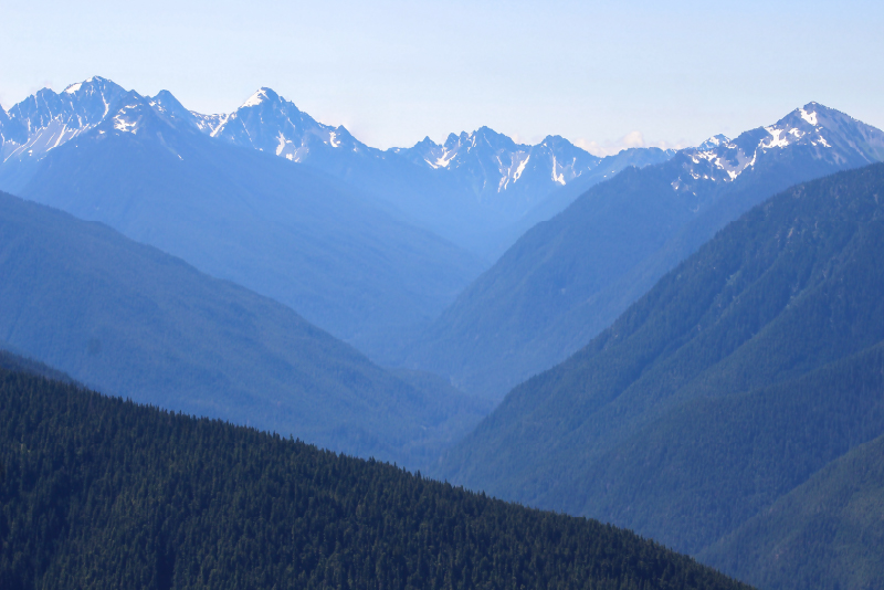 Olympic National Park in Washington State