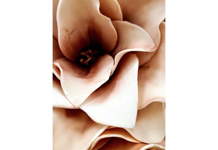 Beige Rose Poster