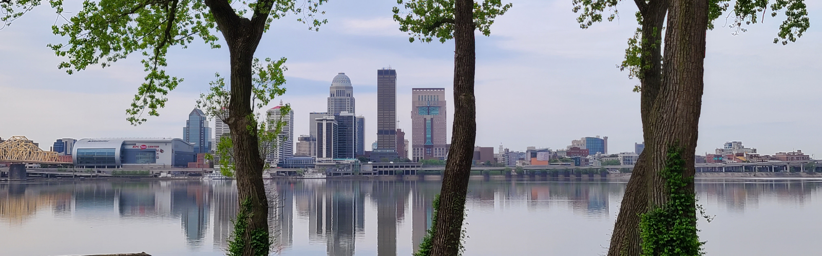 502 Louisville Skyline | Samsung Galaxy Phone Case