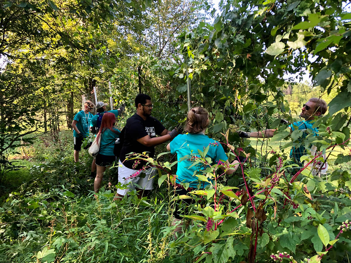 Student volunteers working at Yew Dell