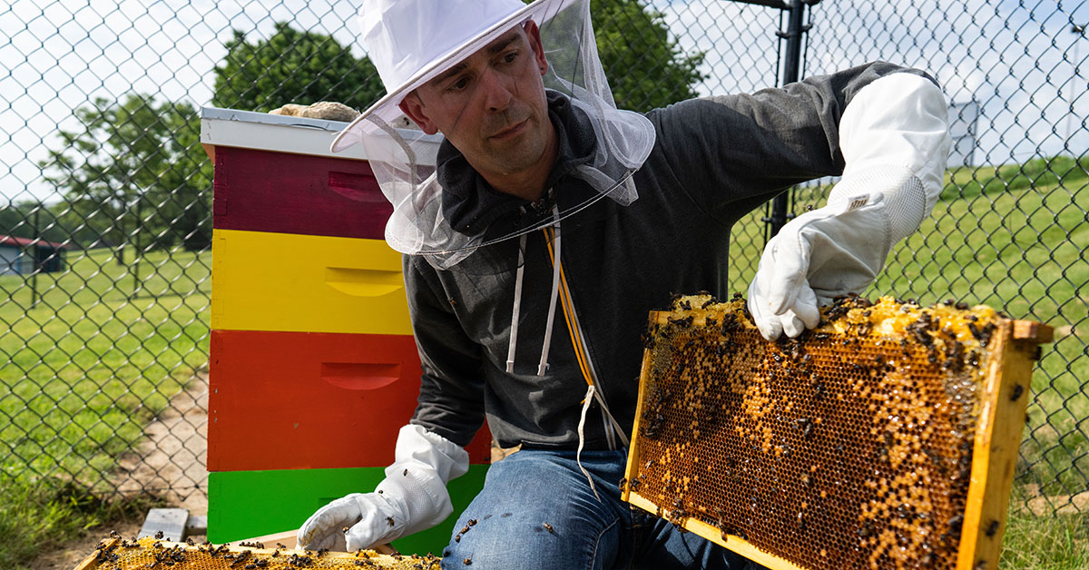 Bellarmine establishes new beehives on campus