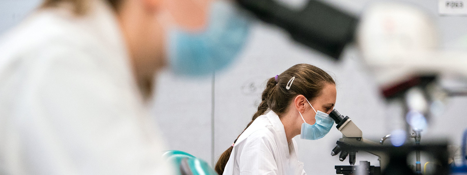 Bachelor's In Medical Laboratory Science | Bellarmine University