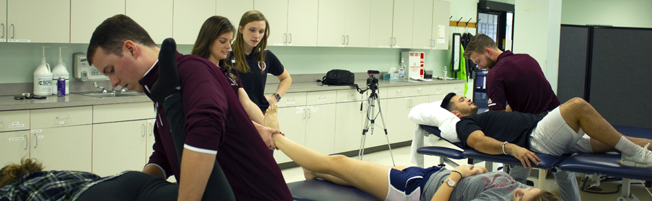 Pre-Physical Therapy Program | Bellarmine University