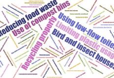 word cloud of environmental survey answers
